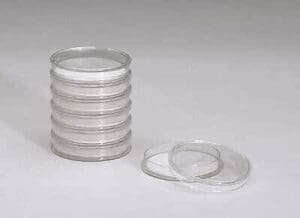 Short stack of transparent Petri dishes