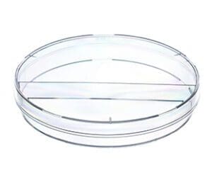 Clear plastic round container with a lid and compartments inside.
