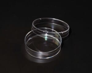 Two empty, transparent petri dishes on a dark surface.