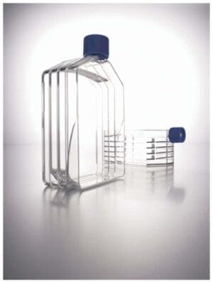 Clear rectangular glass bottles with blue caps on a reflective surface.